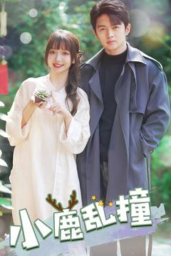 小鹿乱撞（40集）-资源V站