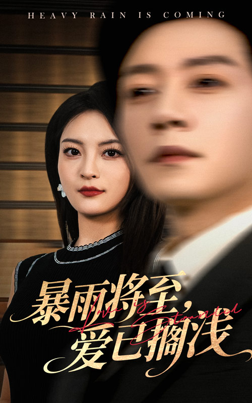 40.暴雨将至爱已搁浅（50集）宋晨&伍怡-资源V站