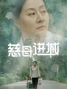 图片[1]-慈母进城（60集）-资源V站
