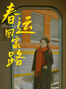春运回家路（32集）-资源V站