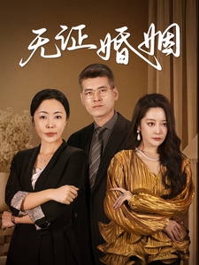 图片[1]-无证婚姻（30集）-资源V站