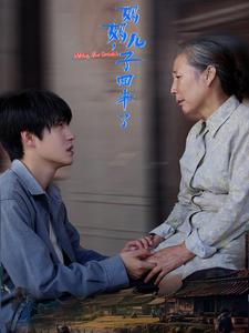 图片[1]-妈妈儿子回来了（65集）-资源V站