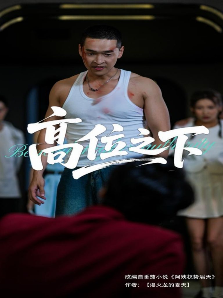 图片[1]-高位之下（65集）张家嘉&赵龙-资源V站
