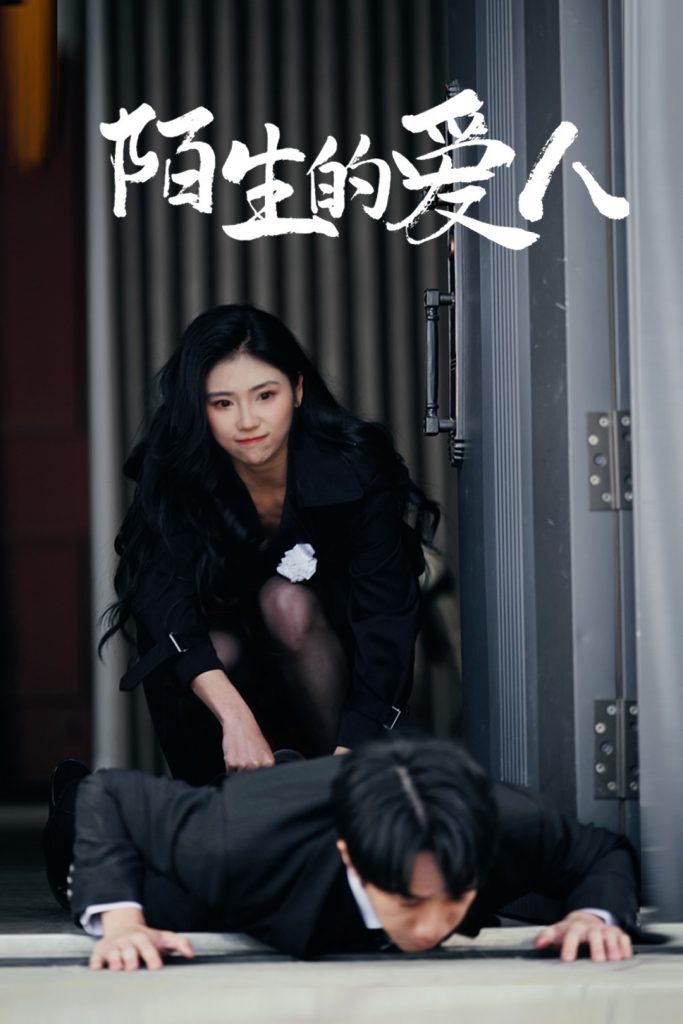 图片[1]-陌生的爱人（60集）骆虹宇-资源V站
