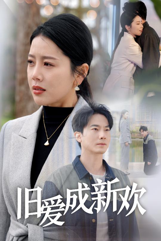 旧爱成新欢（30集）丁海霞-资源V站
