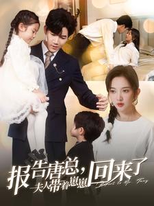 图片[1]-报告唐总夫人带着崽崽回来了（100集）-资源V站