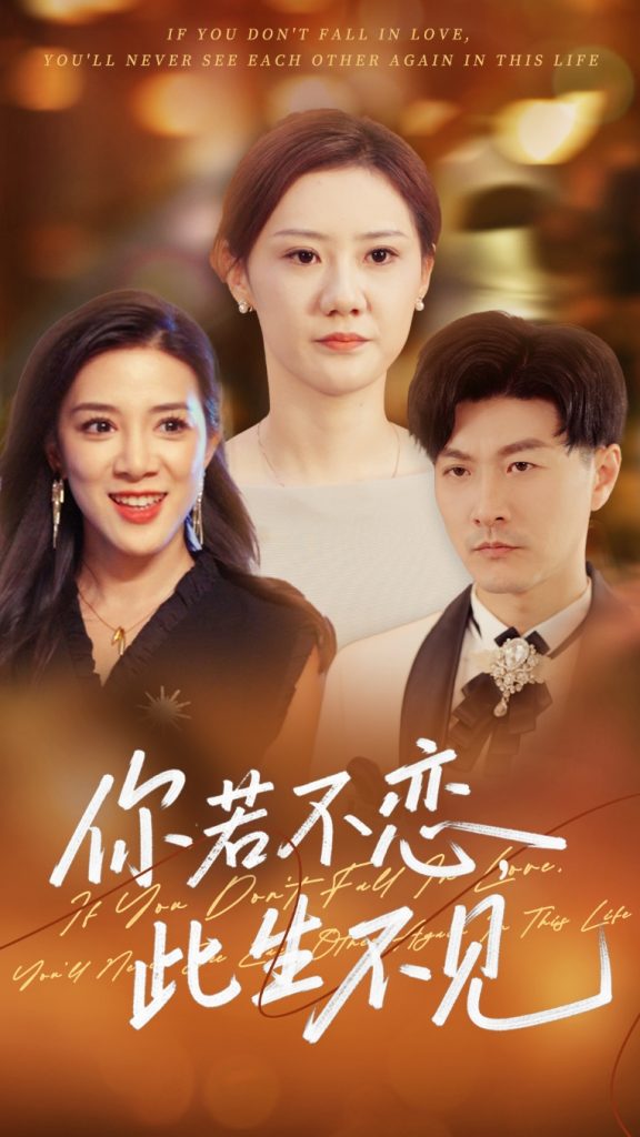 22866-你若不恋此生不见（70集）开心&樊磊-资源V站