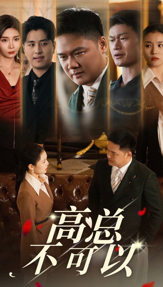 图片[1]-高总不可以（45集）-资源V站