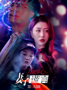 图片[1]-万箭穿心之妻子的谎言（30集）-资源V站