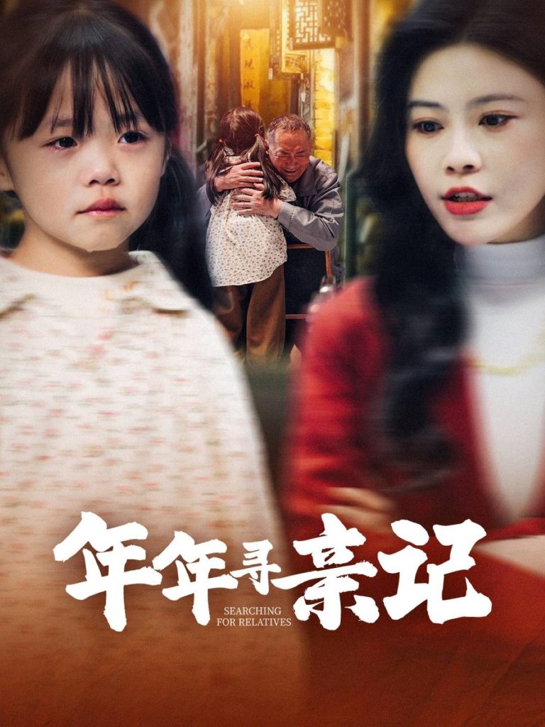 年年寻亲记（31集）谭心-资源V站