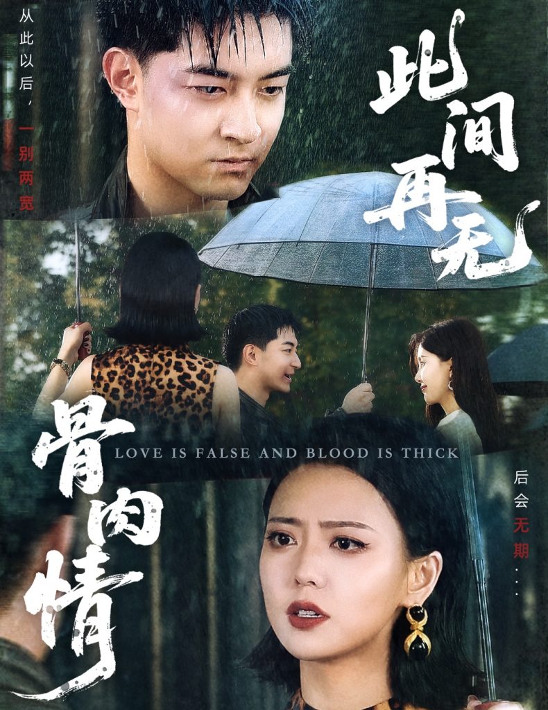 图片[1]-此间再无骨肉情（60集）高岫楠-资源V站