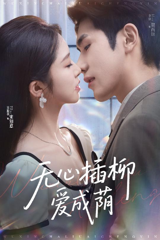 图片[1]-无心插柳爱成荫（50集）李铂一&吴毅非-资源V站