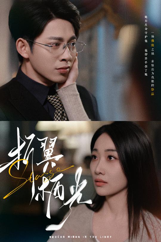 图片[1]-折翼栖光（43集）白杨滋&张钰静-资源V站