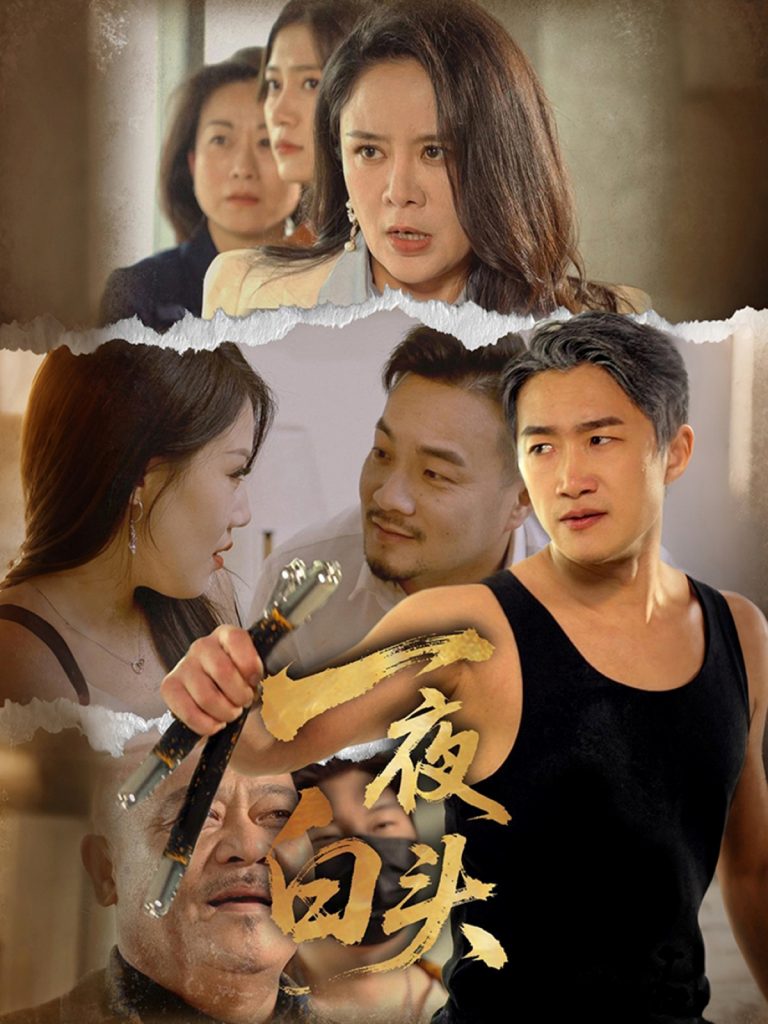 图片[1]-一夜白头（32集）杨依霖-资源V站