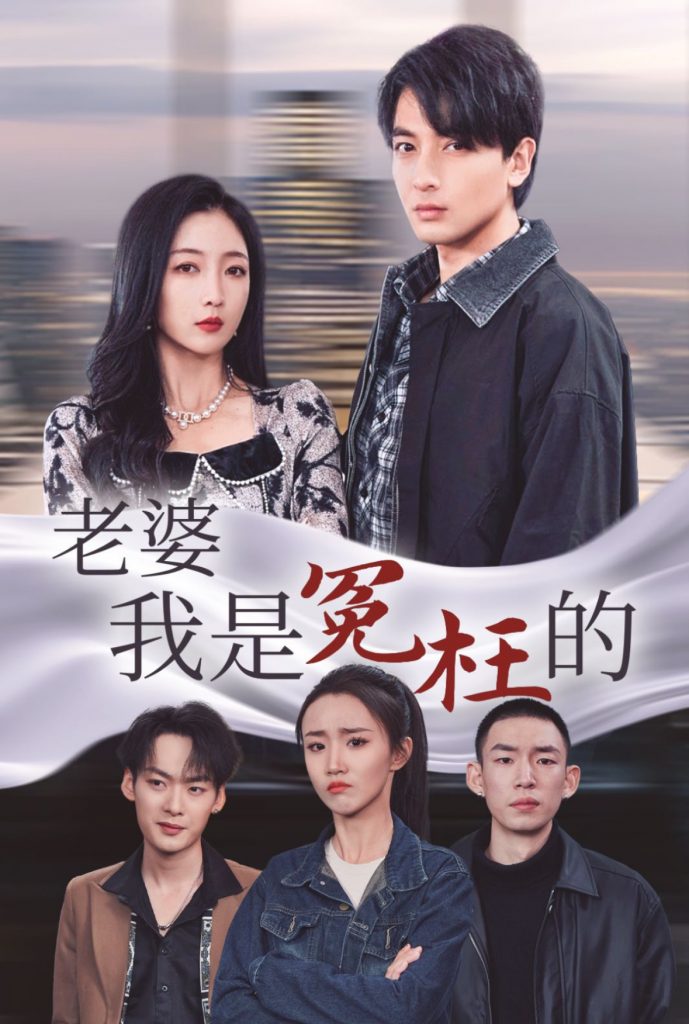 图片[1]-老婆我是冤枉的（31集）-资源V站