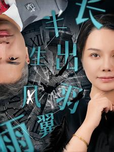 半生风雨长出羽翼（37集）-资源V站