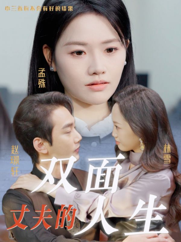 图片[1]-丈夫的双面人生（30集）-资源V站