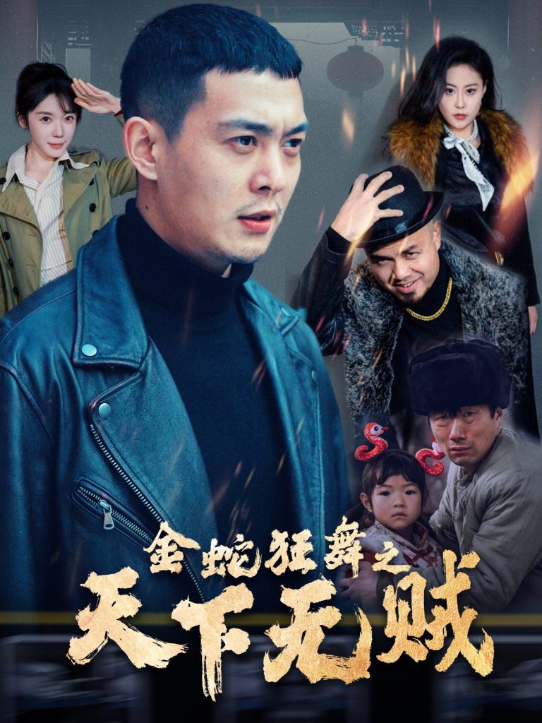 金蛇狂舞之天下无贼（52集）钱谦-资源V站