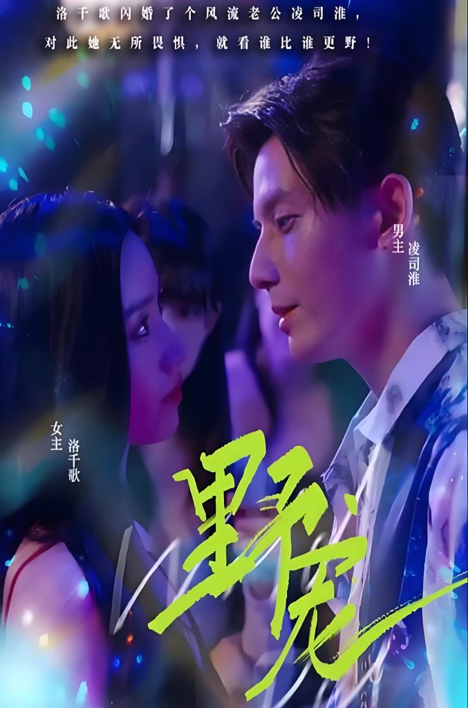 图片[1]-野宠（100集）-资源V站