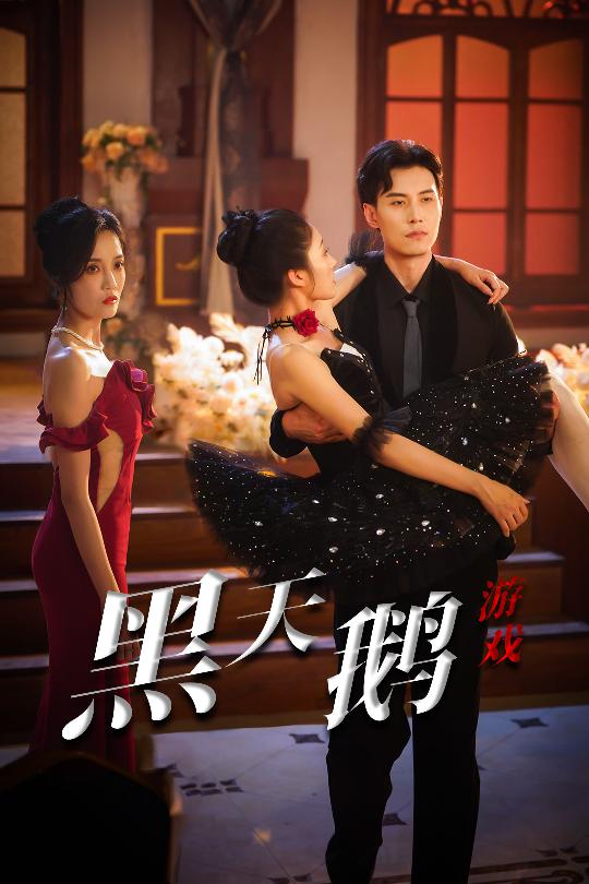 14.黑天鹅游戏（60集）宋喃&郭美林子-资源V站
