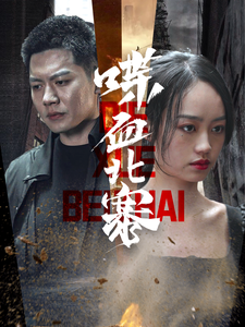 图片[1]-喋血北寨（90集）-资源V站