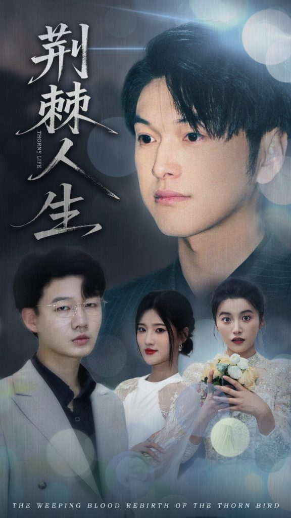 图片[1]-荆棘人生（74集）陈馨雨&胥宁轲-资源V站