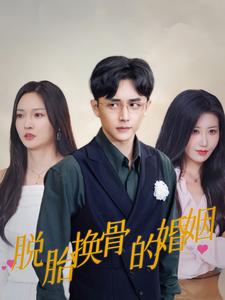 图片[1]-脱胎换骨的婚姻（40集）胡冬晴-资源V站