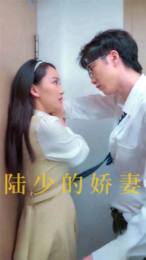 图片[1]-陆少的娇妻（100集）-资源V站