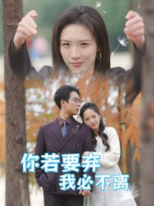 图片[1]-你若要弃我必不离&绝望主妇怒点天灯（30集）-资源V站