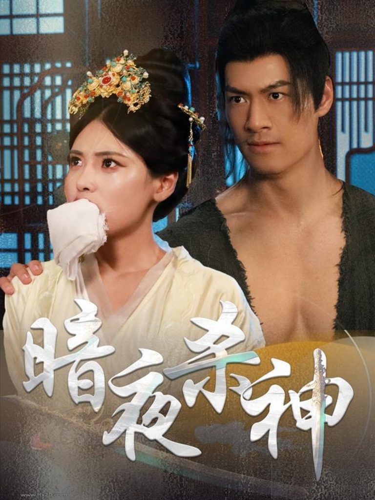 图片[1]-暗夜杀神（49集）-资源V站