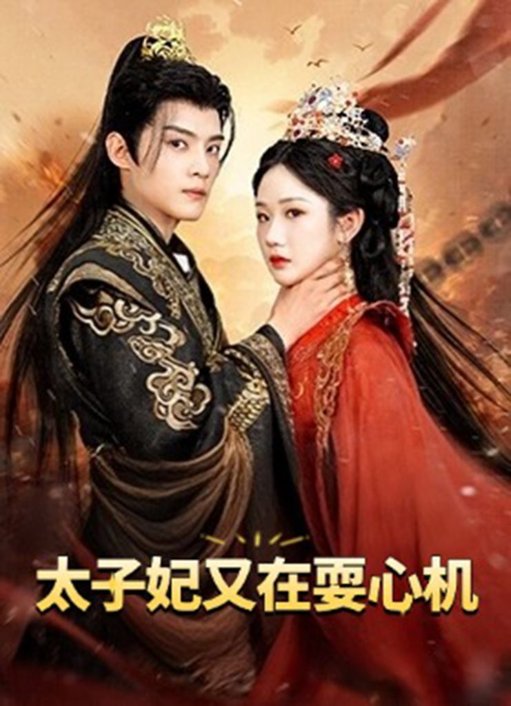 图片[1]-太子妃又在耍心机&人家才不是坏女人（80集）张晋宜&谢鸿鑫-资源V站