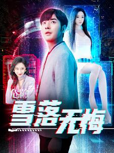 雪落无悔（102集）-资源V站