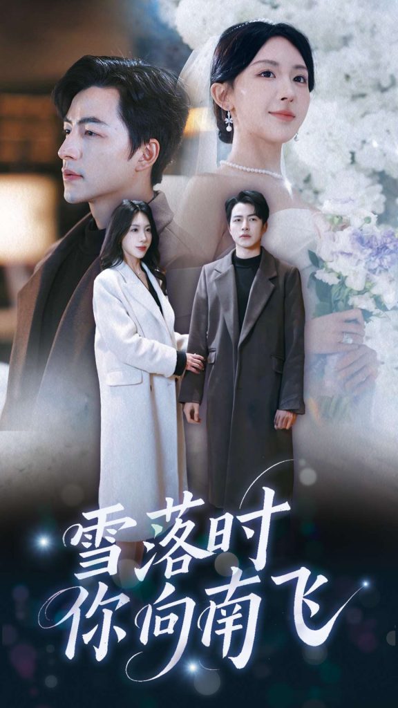 图片[1]-雪落时你向南飞（34集）吴昊＆房蕾-资源V站