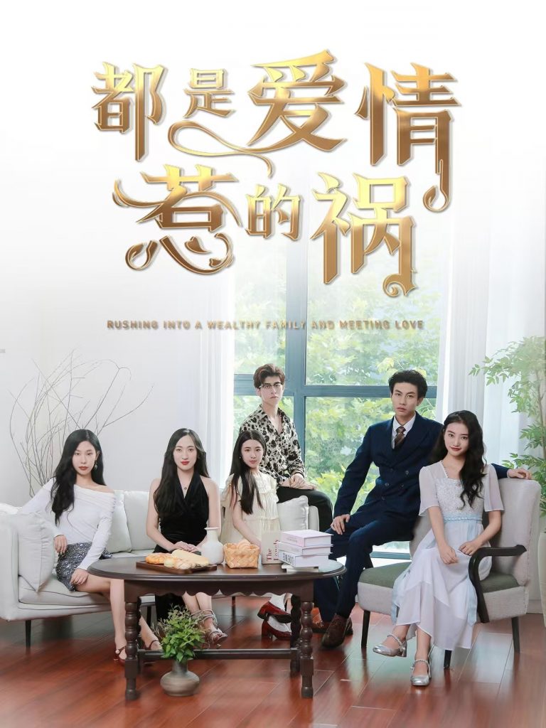 都是爱情惹的祸（76集）-资源V站
