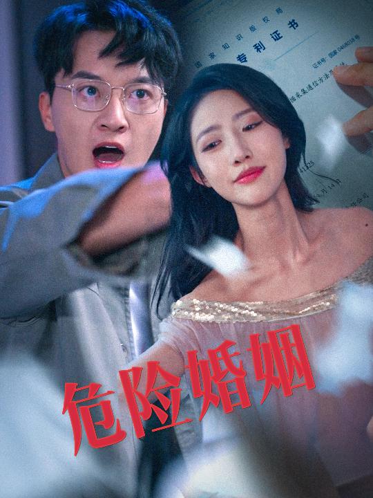 图片[1]-危险婚姻（60集）陈家豪＆如意儿-资源V站