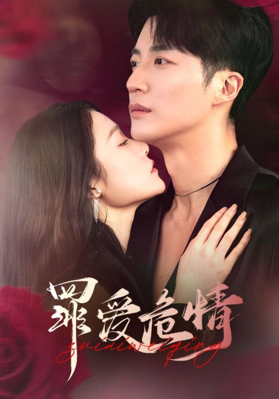 图片[1]-罪爱危情（59集）王名扬＆杨宁-资源V站