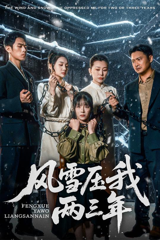 22560-风雪压我两三年（50集）别琳-资源V站