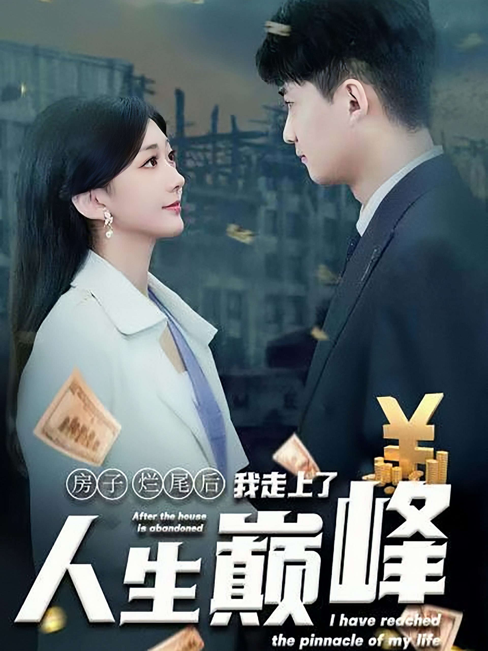 图片[1]-房子烂尾后我走上了人生巅峰（36集）-资源V站