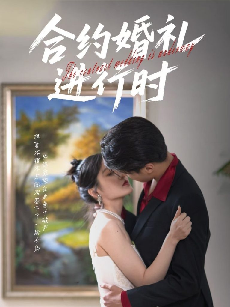 合约婚礼进行时（30集）刘灵灿-资源V站