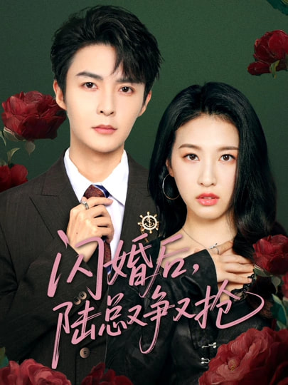 图片[1]-闪婚后陆总又争又抢（83集）管栎&杜雨宸-资源V站
