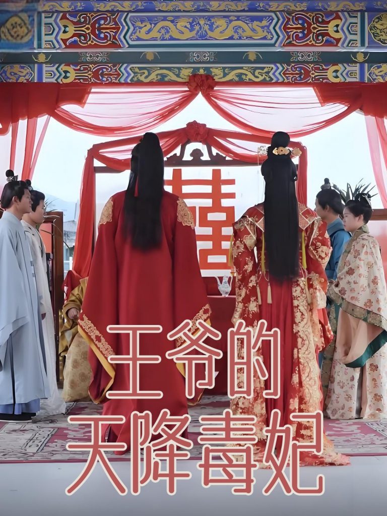 图片[1]-王爷的天降毒妃（73集）樊纾宁-资源V站