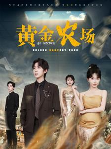 黄金农场（70集）-资源V站