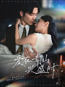 图片[1]-爱在青山兴盛时（58集）王晨鹏＆陈露茜-资源V站