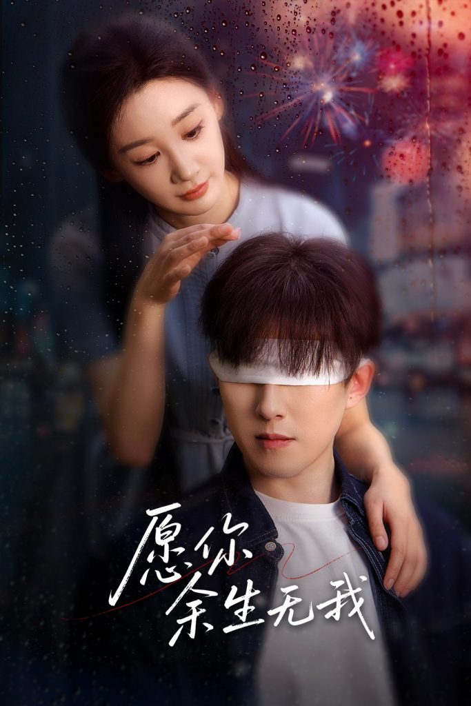 图片[1]-愿你余生无我（86集）赵宏伟&贾琳-资源V站