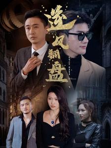 16480-新：逆风翻盘（94集）-资源V站