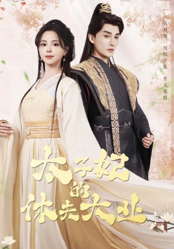 图片[1]-太子妃的休夫大业（84集）赵慕颜&林潇-资源V站