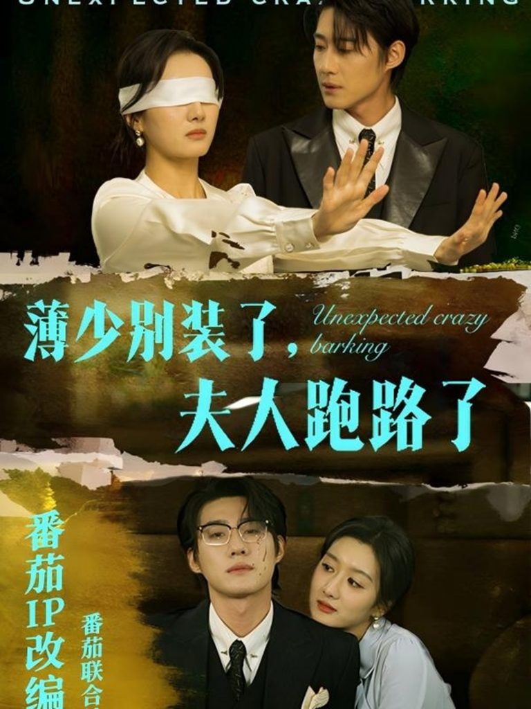 图片[1]-薄少别装了夫人跑路了（60集）赵振栋＆柳卓青-资源V站
