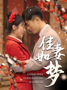 佳妻如梦（62集）-资源V站