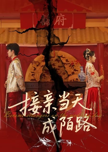 接亲当天成陌路（50集）-资源V站