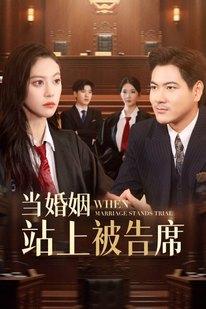 26.当婚姻站上被告席（30集）刘林&刘涵飞-资源V站